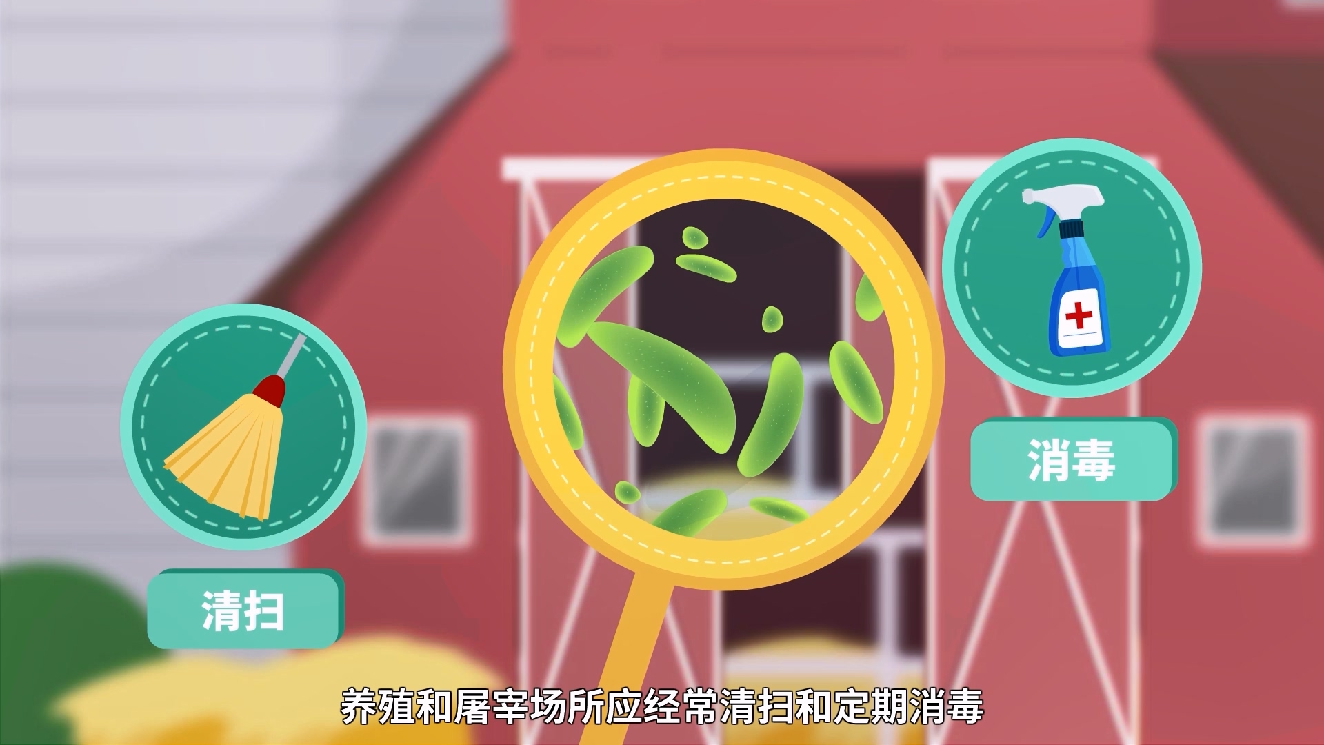 布魯氏菌病防控【動(dòng)畫視頻】